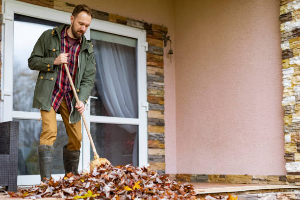 Best Furniture Removal Near Me  in New Prague, MN